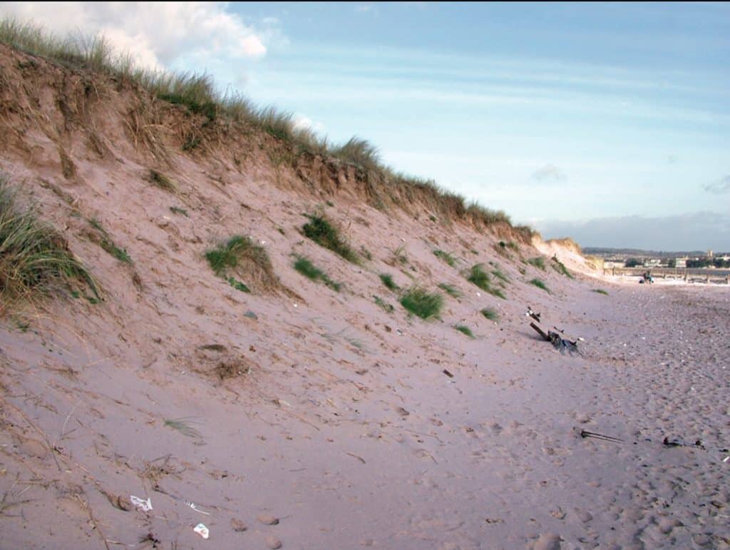 Dawlish Warren