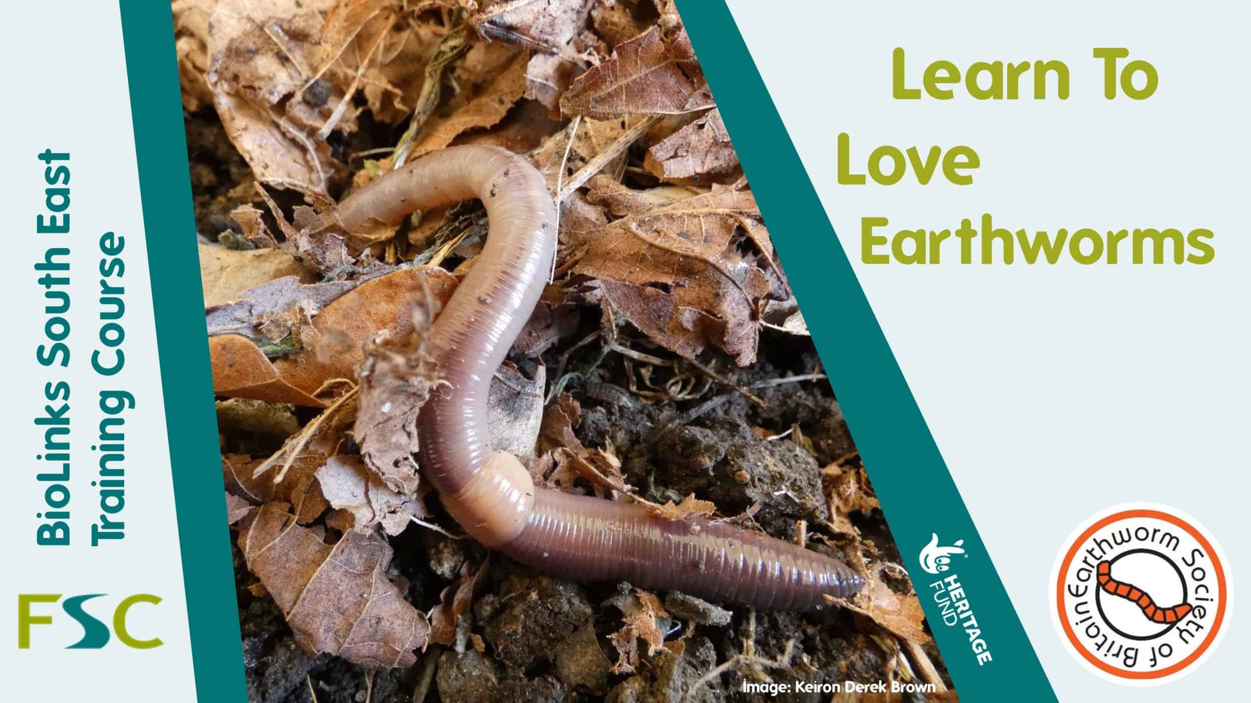 Learn to Love Earthworms Field Studies Council