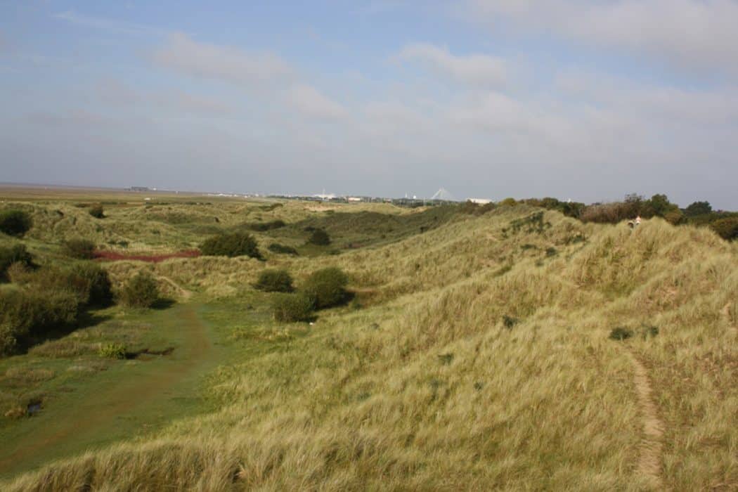 Sand Dune Succession Field Studies Council