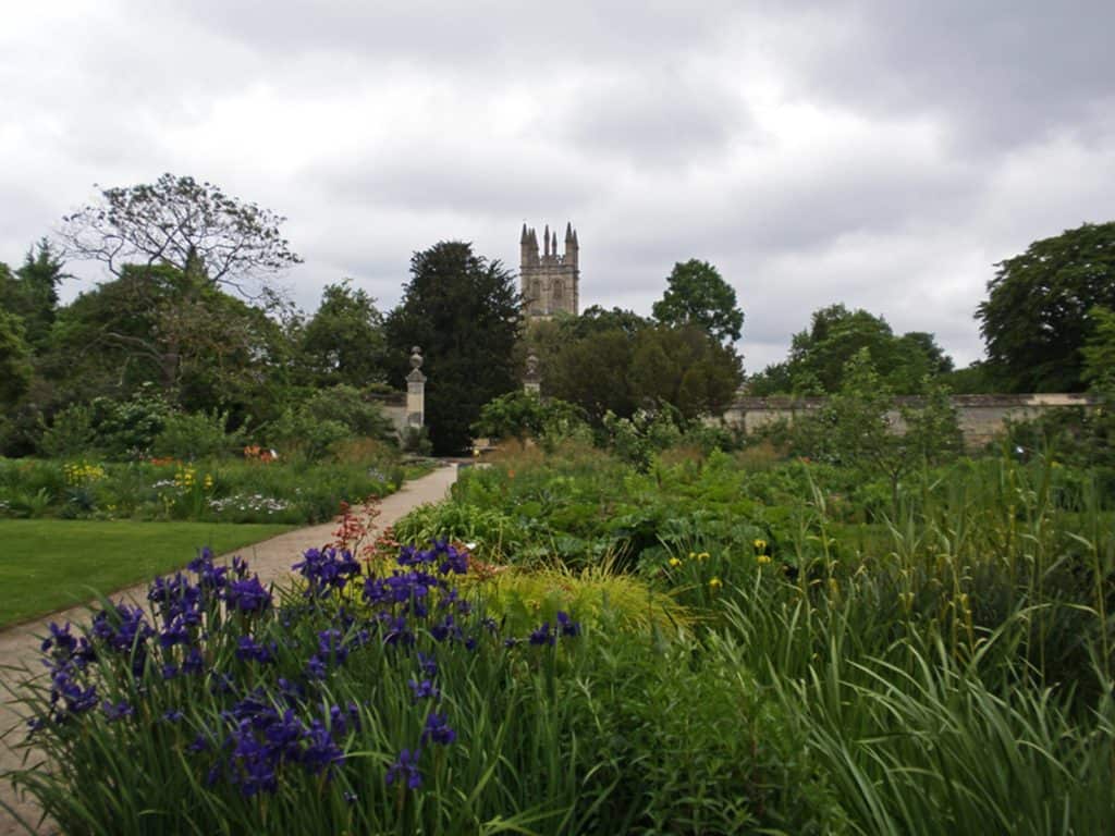 Oxford botanic garden