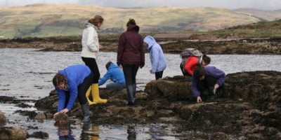 conservation biology ecology rocky shore