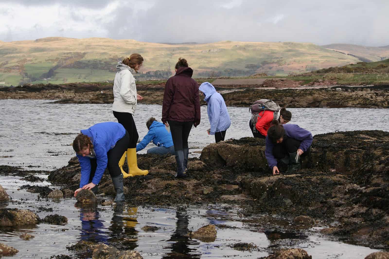 conservation biology ecology rocky shore