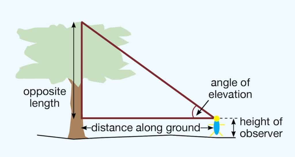 Measuring tree height