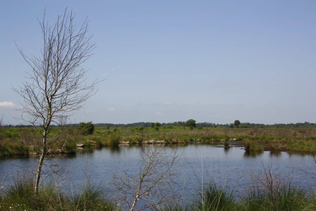 Whixall Moss