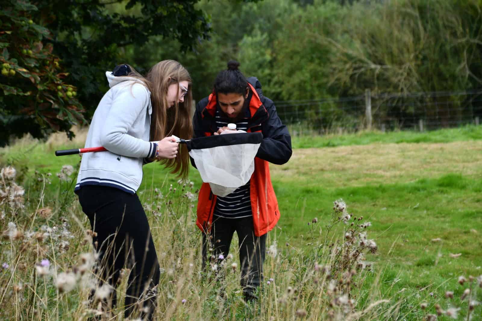 Young people looking in to an insect net