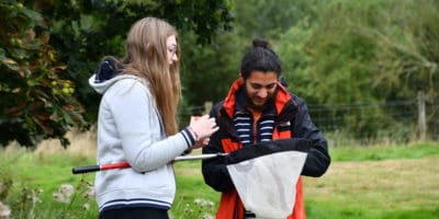 Young people looking in to an insect net