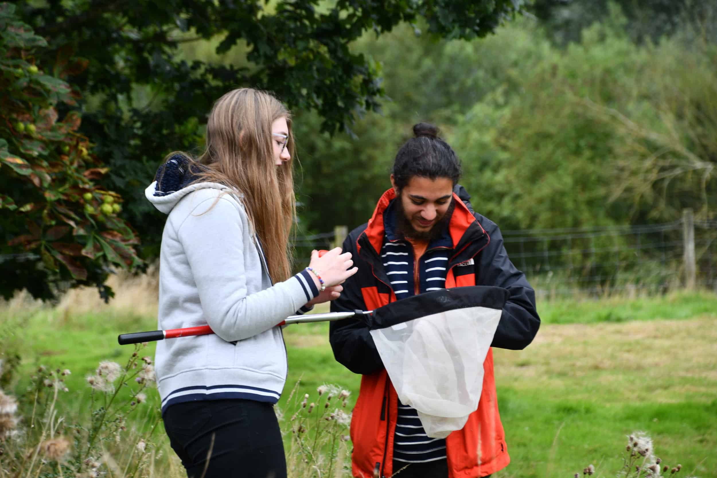 Young people looking in to an insect net