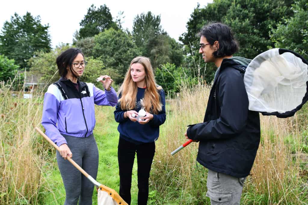Young people outdoors looking in at insects
