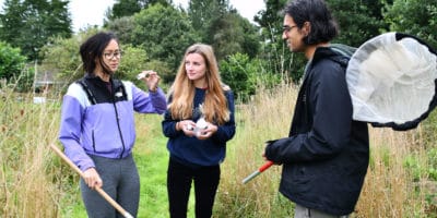 Young people outdoors looking in at insects