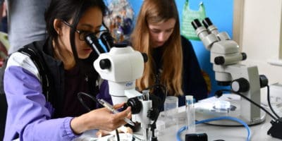 Young people looking in to microscopes