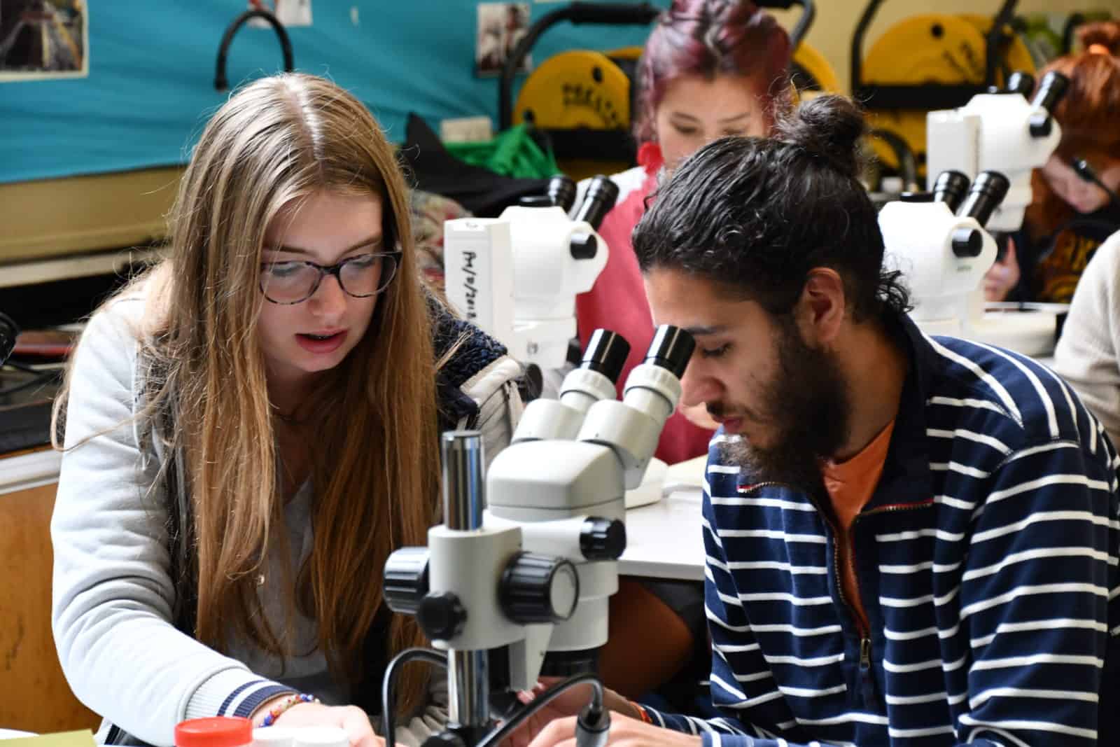 Young people looking in to microscopes