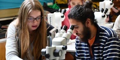 Young people looking in to microscopes