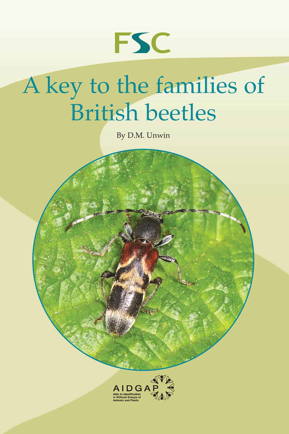 Beetles AIDGAP Key to Identification of Beetles Field Studies Council