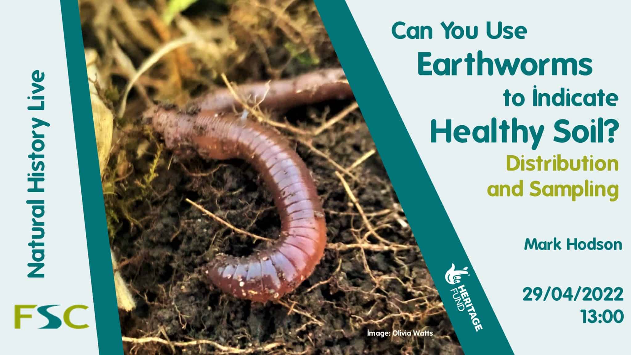Can you use earthworms to indicate healthy soil? (Natural History Live