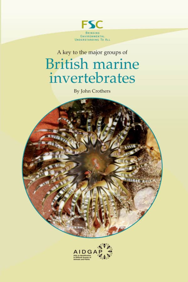 Marine invertebrates