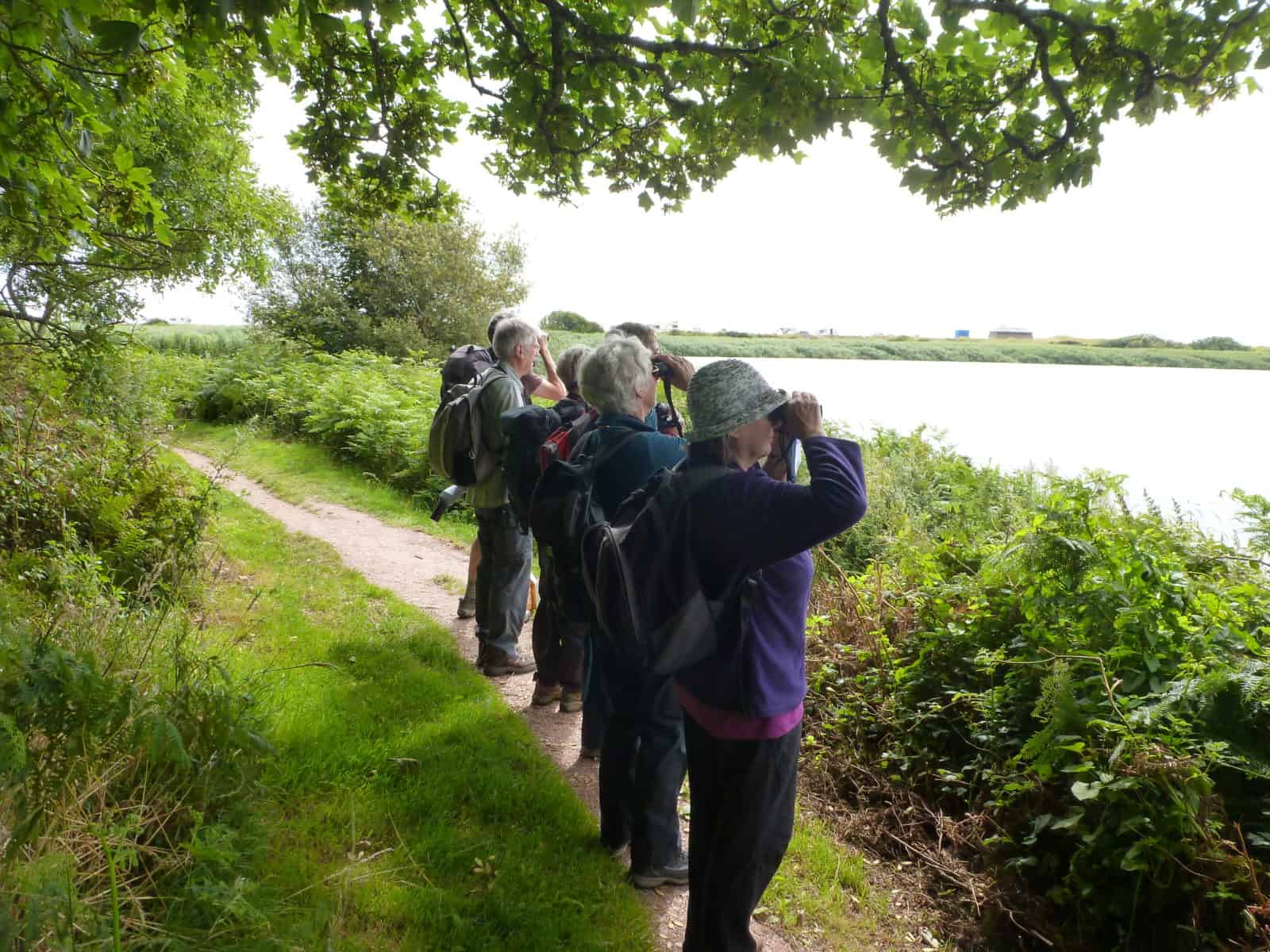 A group of people looking over a lake with binoculars for birds
