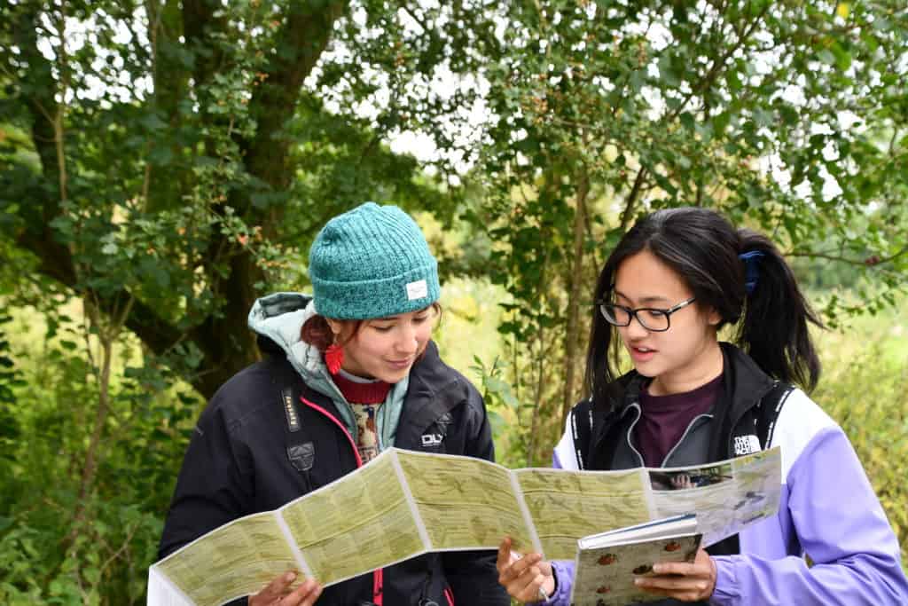 Trees identification guides