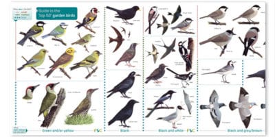 Wildlife ID guides