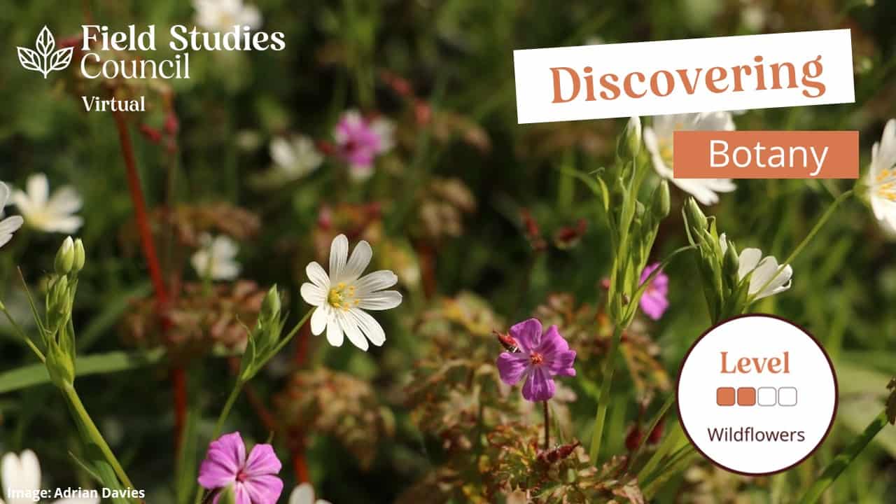 Natural History Courses Field Studies Council