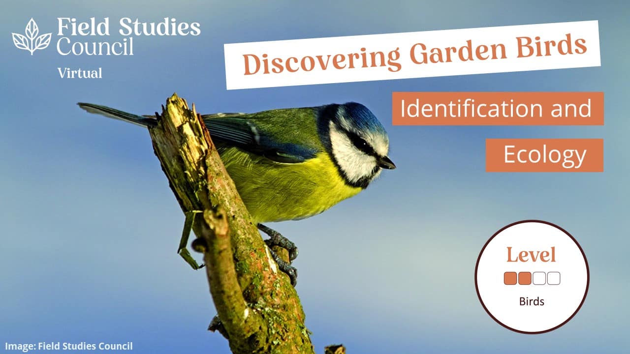 Natural History Courses Field Studies Council Natural History Courses Field Studies Council