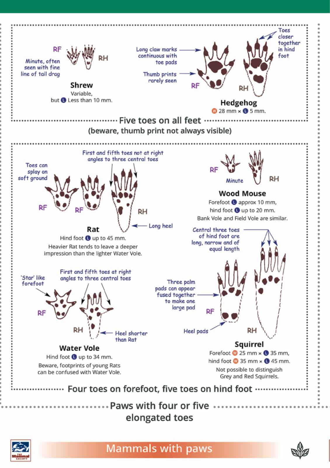 Mammal tracks and signs