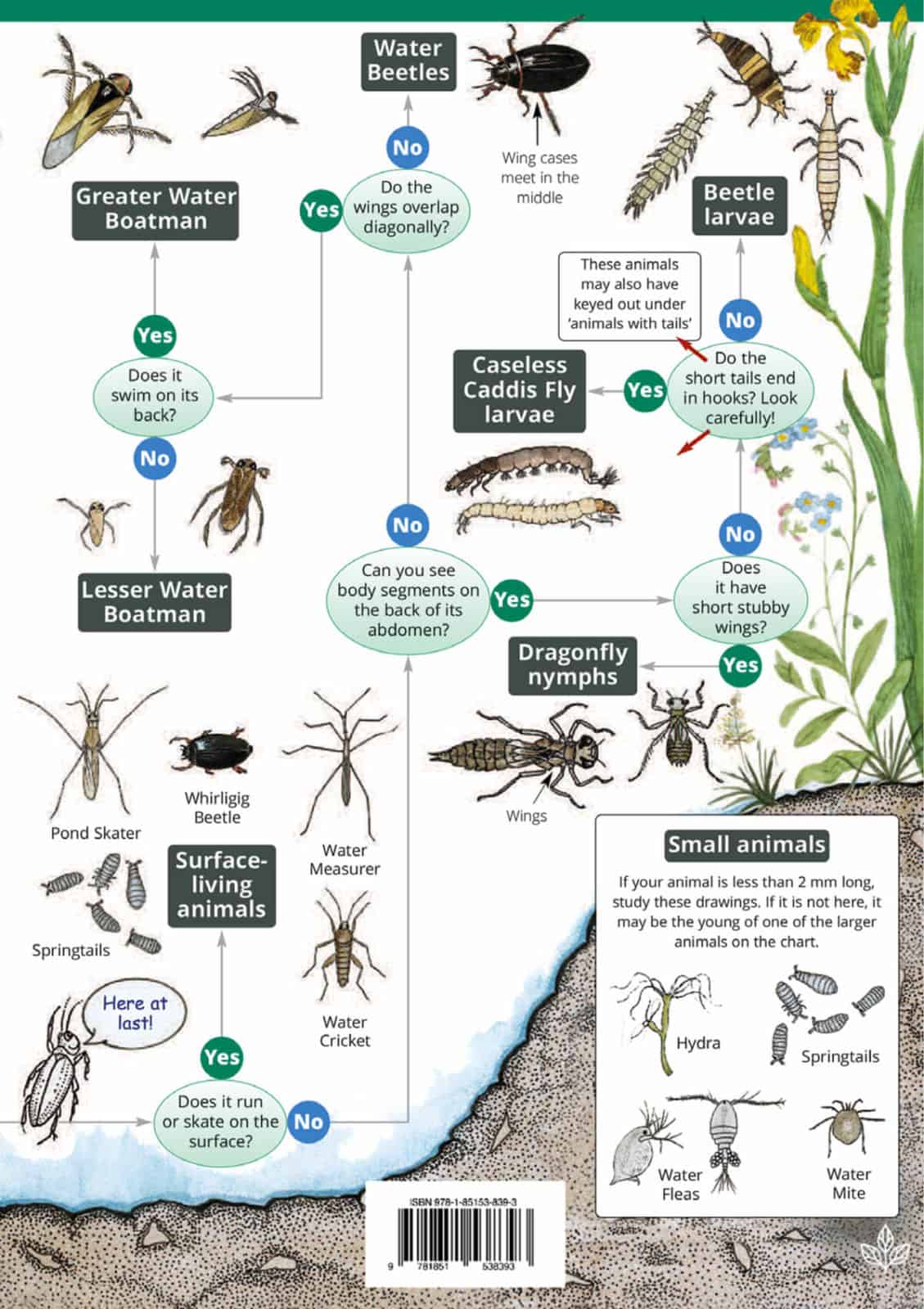 Freshwater name trail