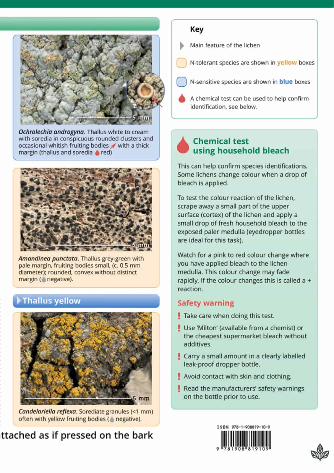 Lichen based index to nitrogen air quality