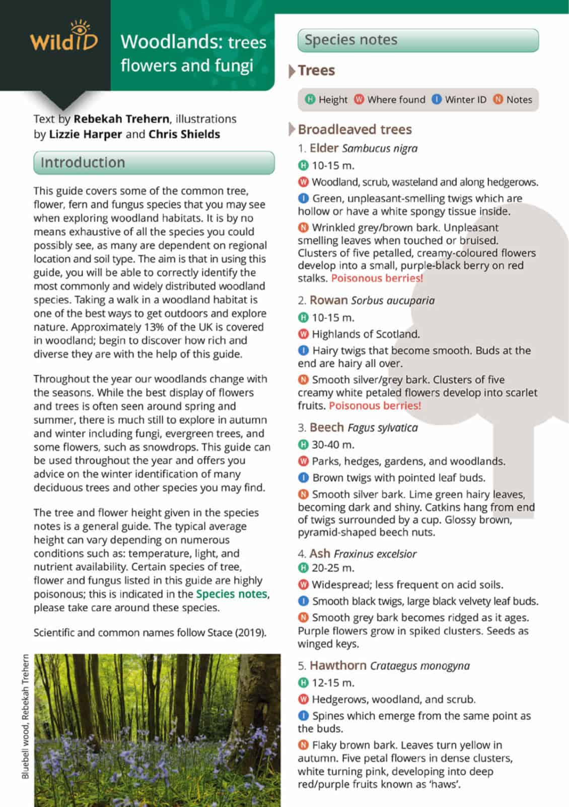 Woodlands: trees, flowers and fungi