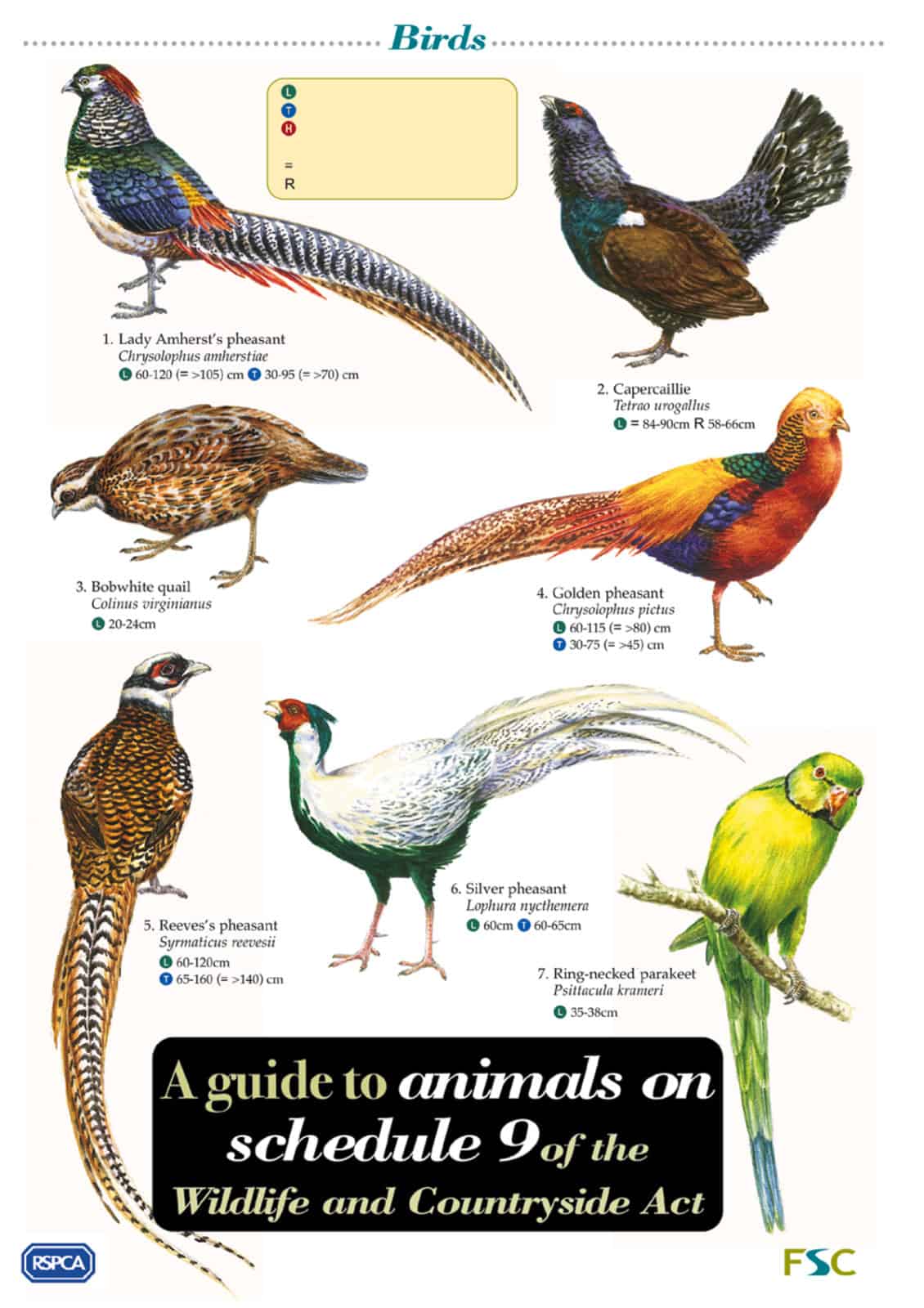 schedule 9 animals guide