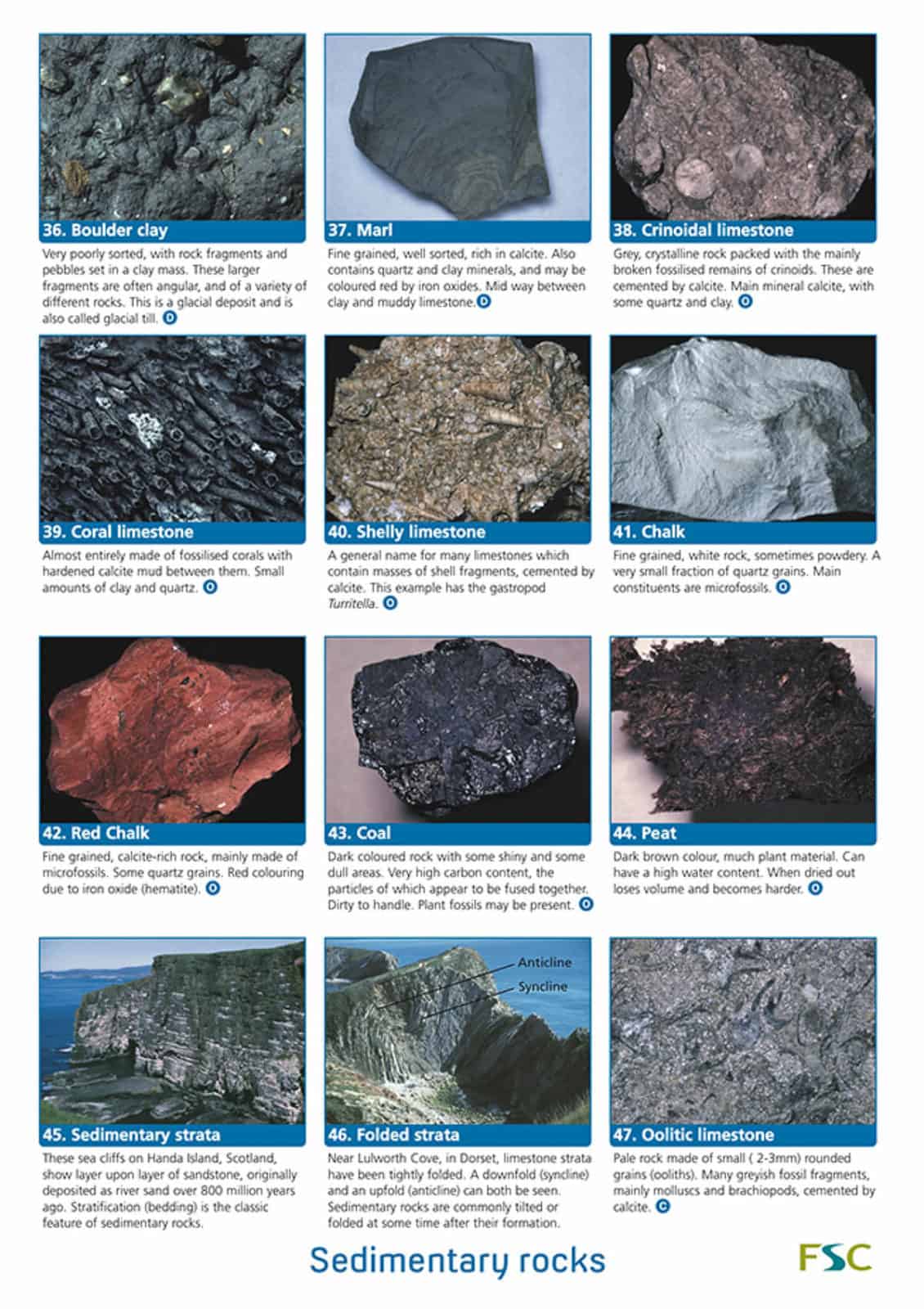 Rocks guide