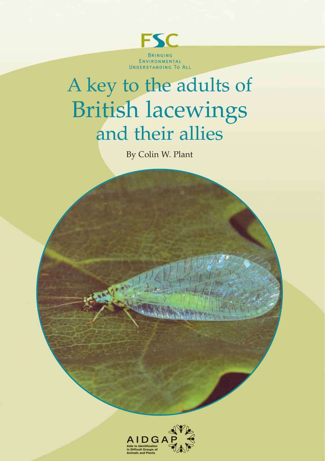 lacewings aidgap