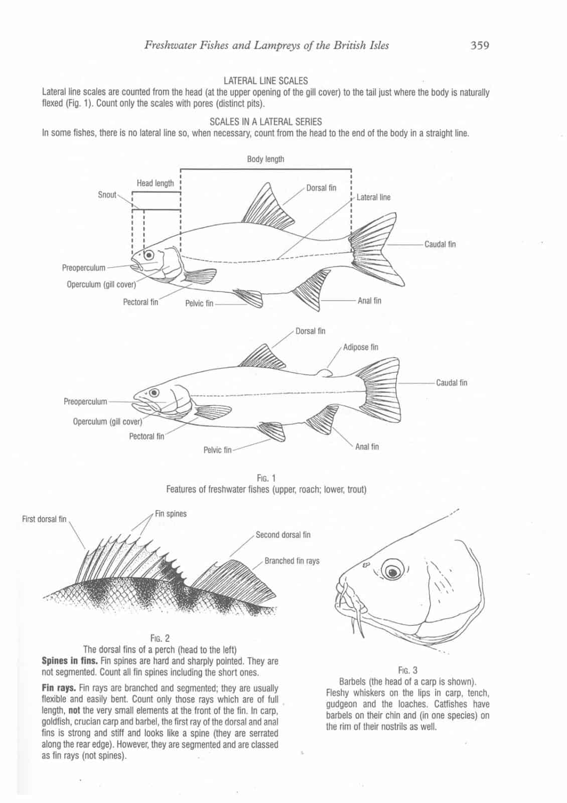 freshwater fish aidgap