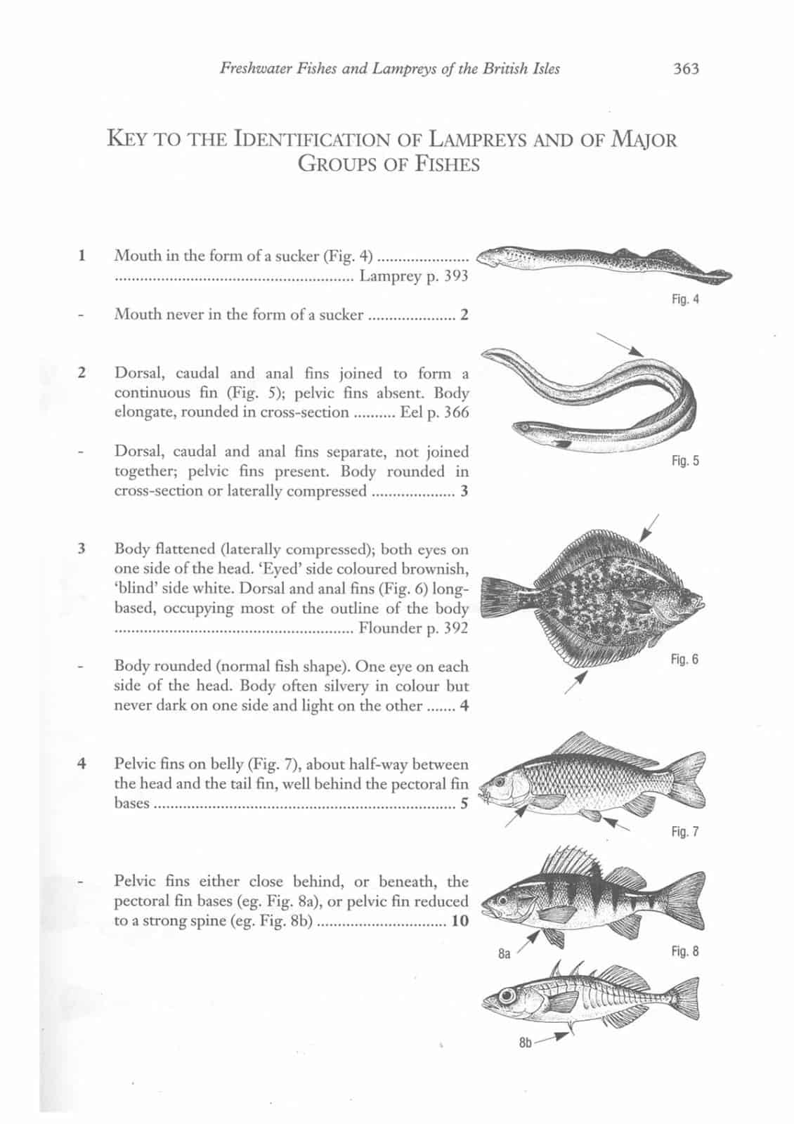 freshwater fish aidgap