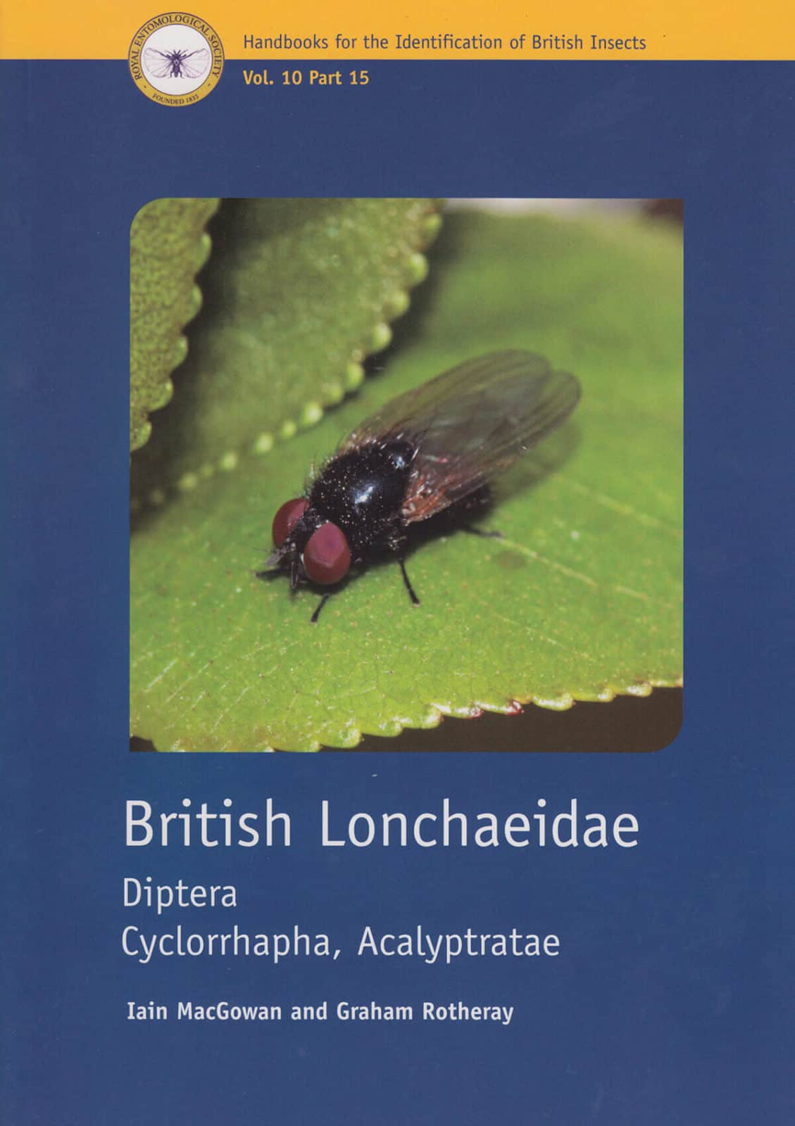 Lonchaeidae