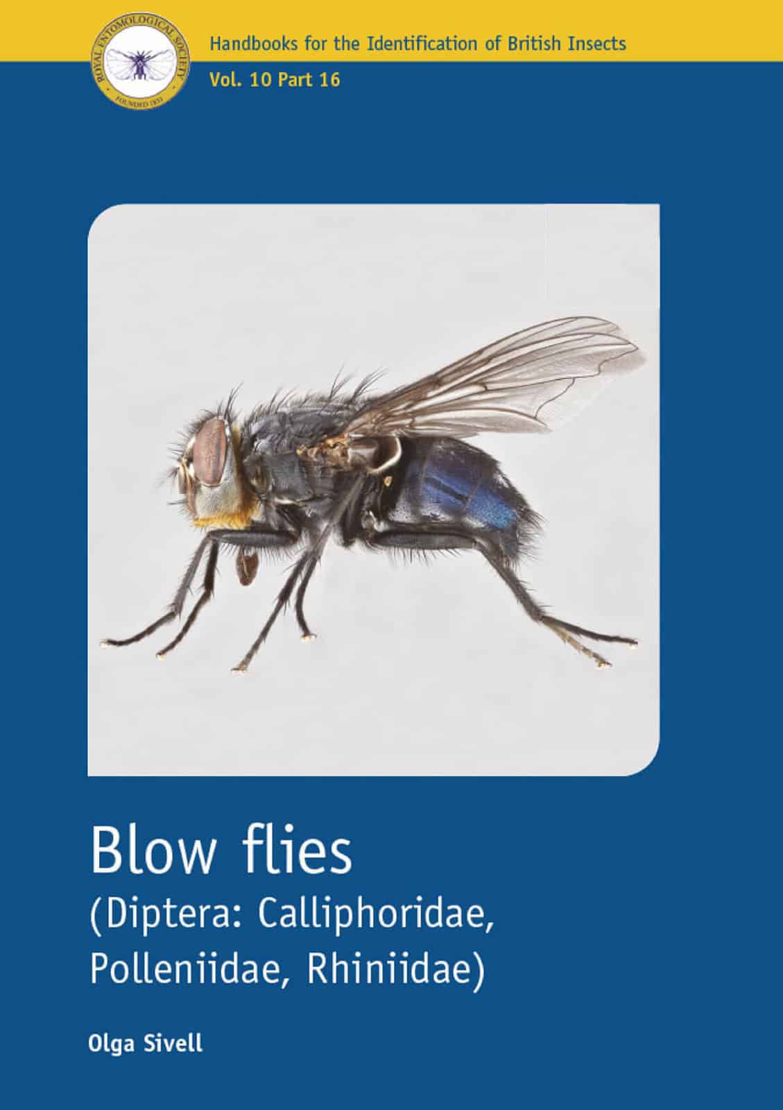 Blow flies