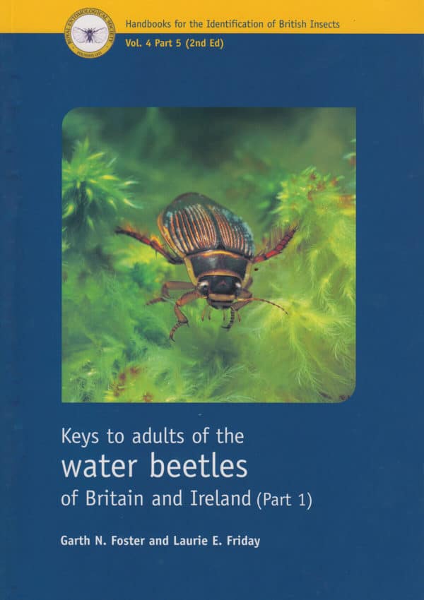 Water beetles