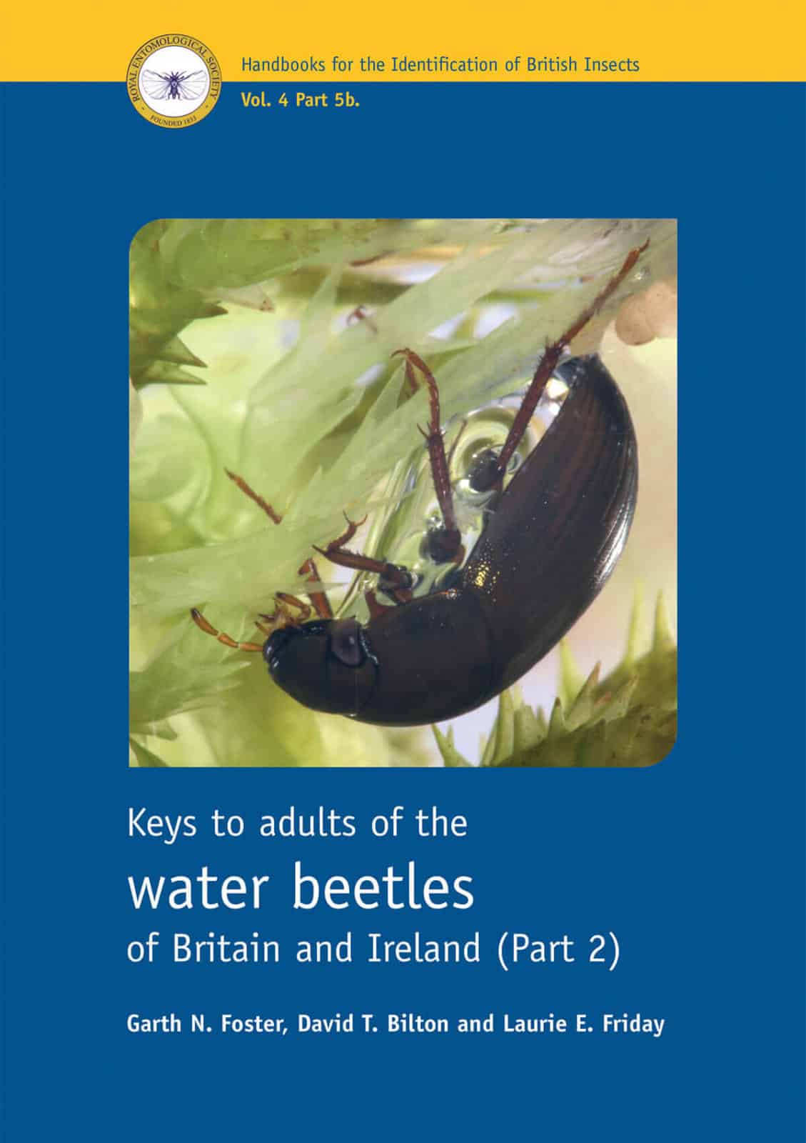 Water beetles