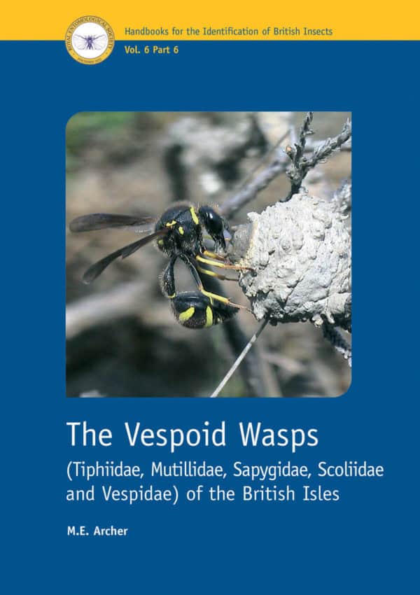 Vespoid wasps