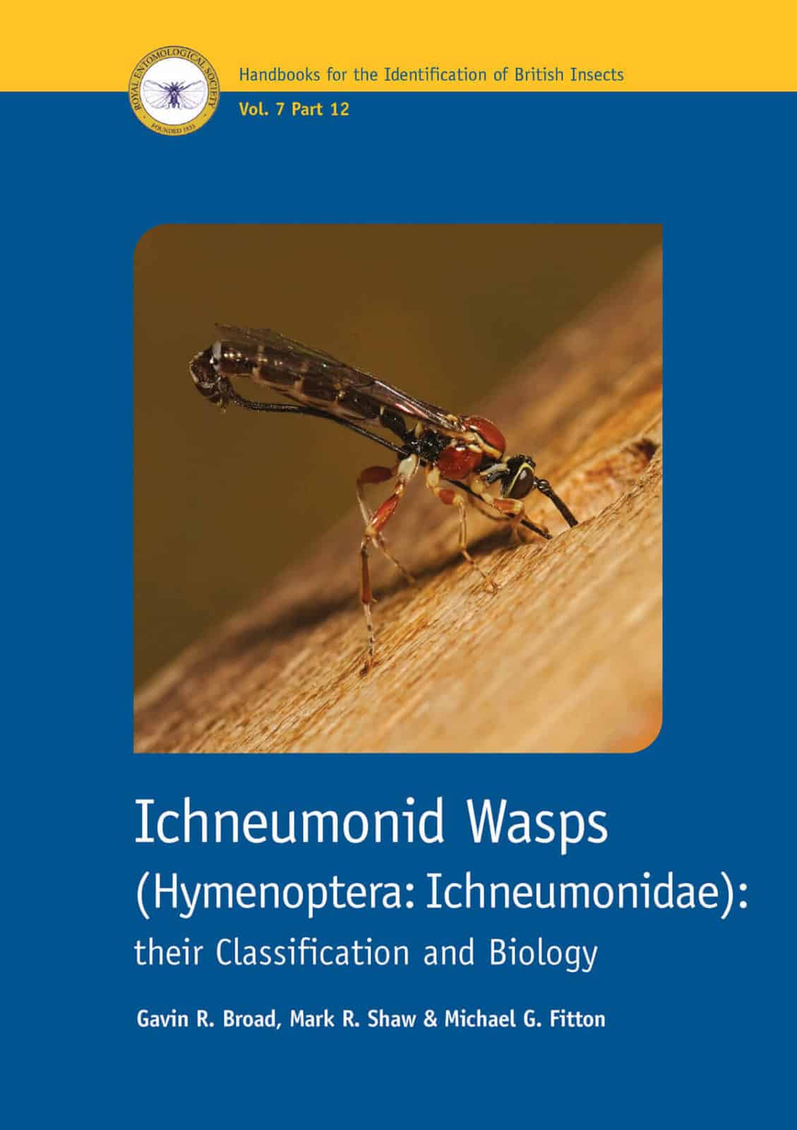 Ichneumonid wasps