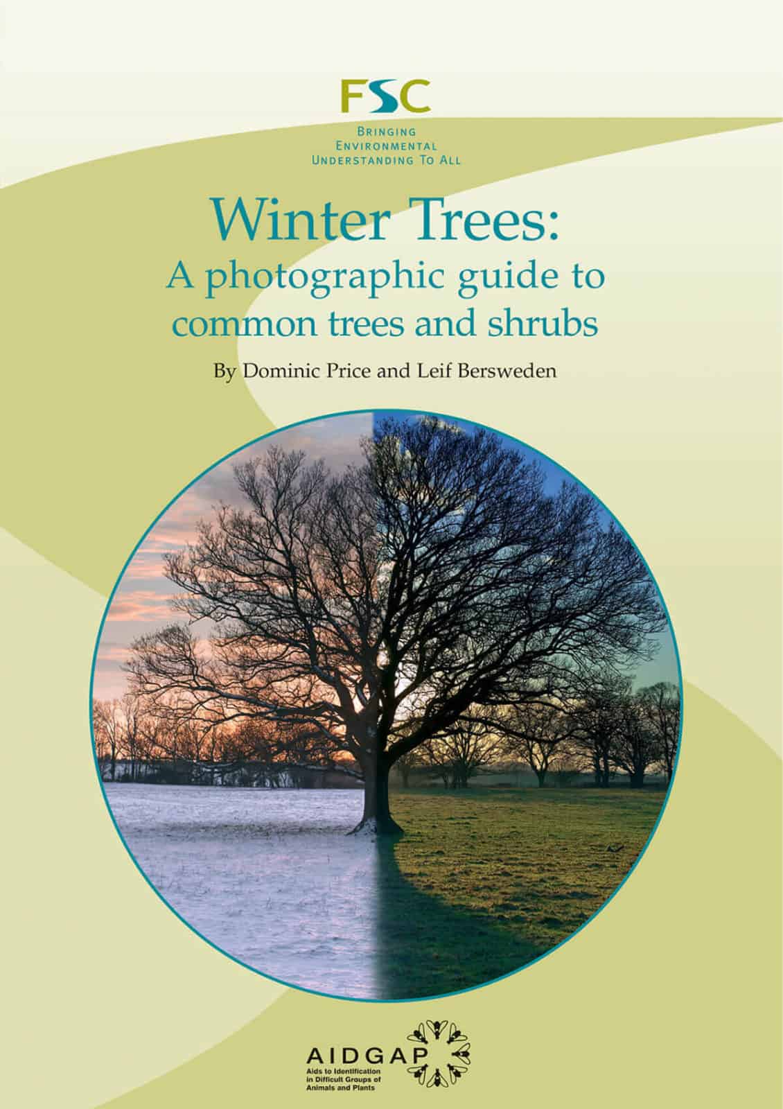 winter trees aidgap