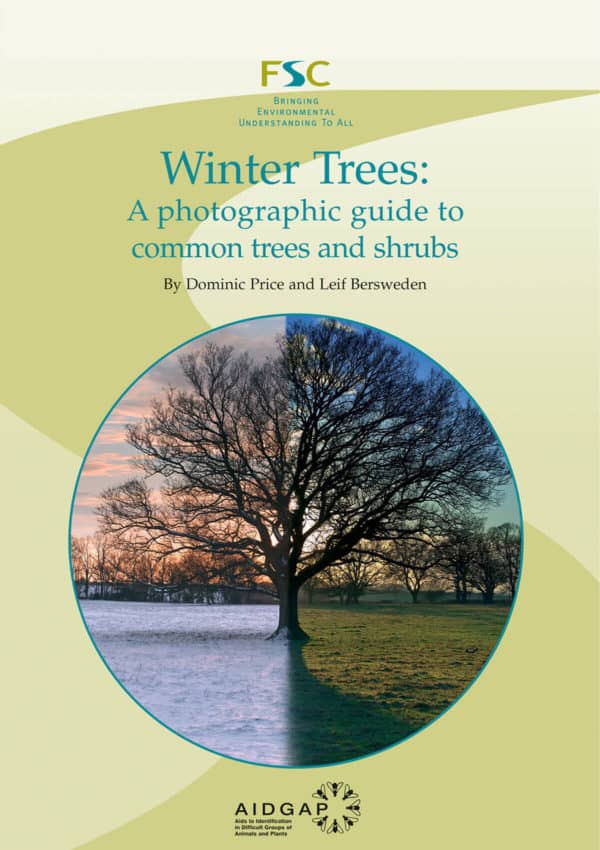 winter trees aidgap