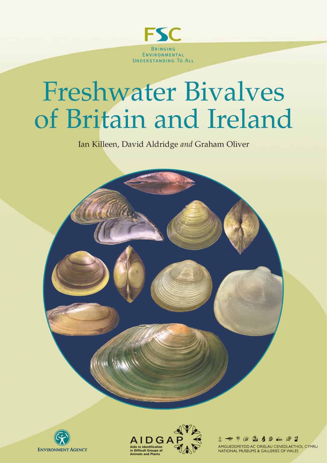 freshwater bivalves aidgap
