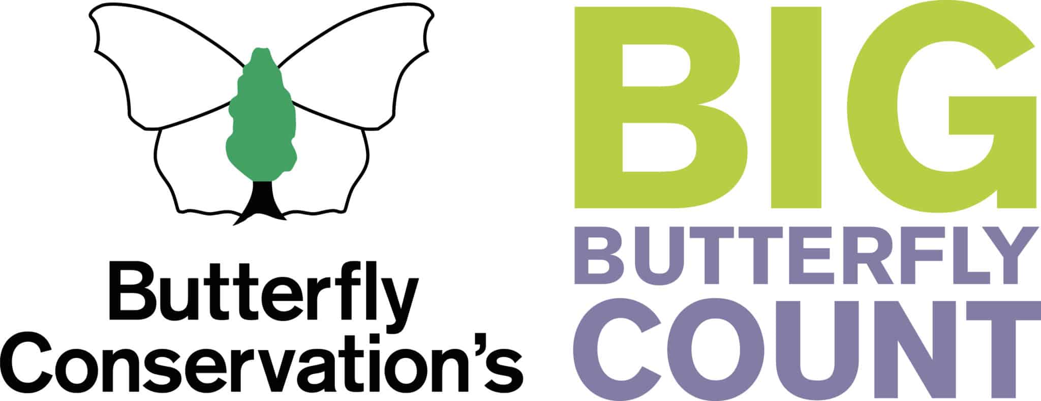 The Big Butterfly Count 2022 – Field Studies Council