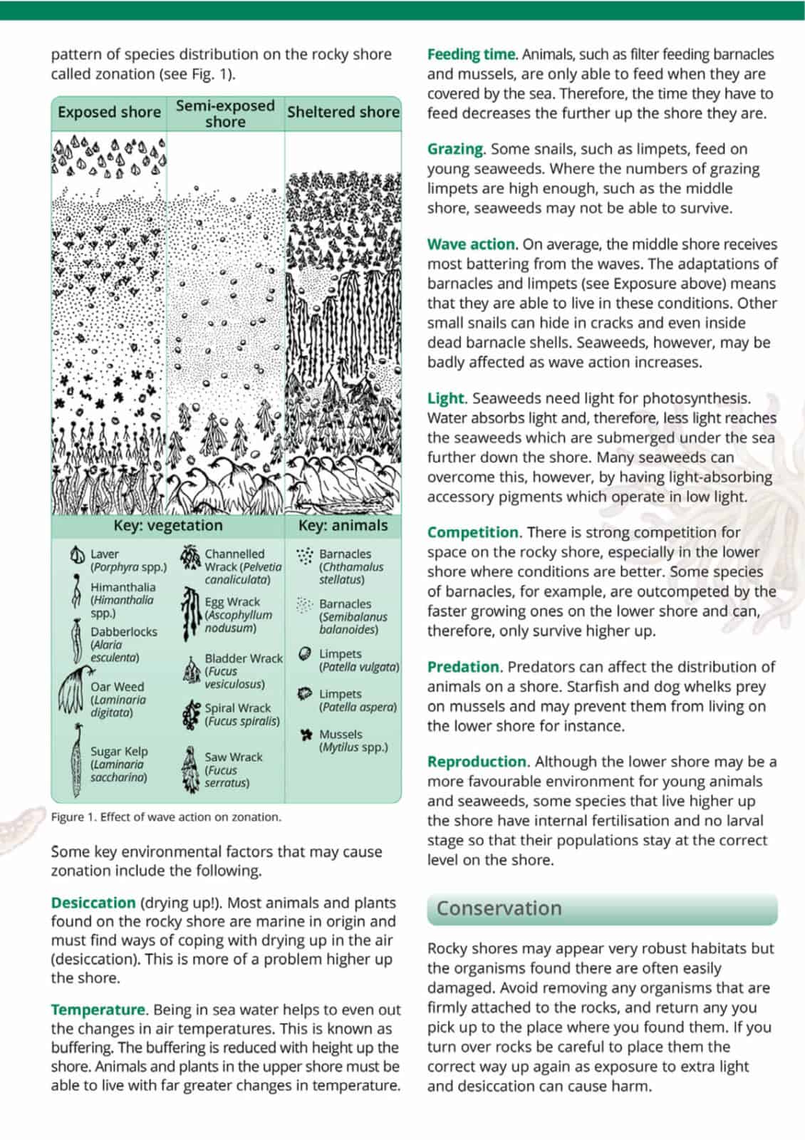 Rocky shore name trail