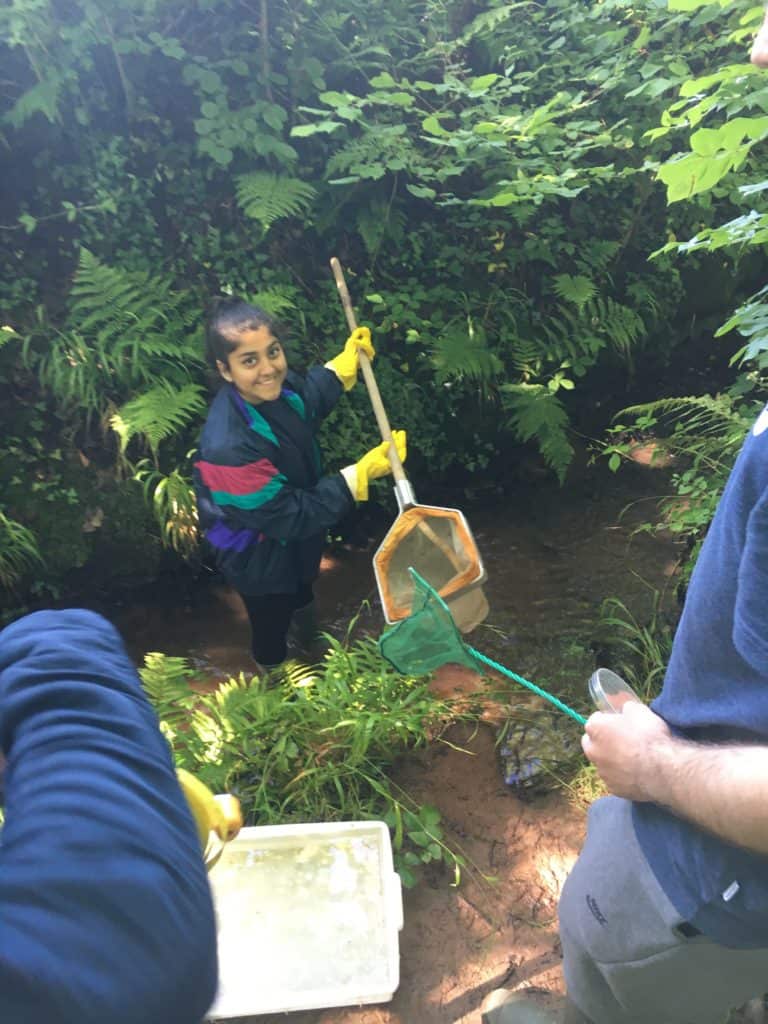 pond dipping