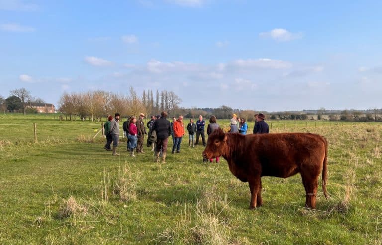 nature walk at Doddington