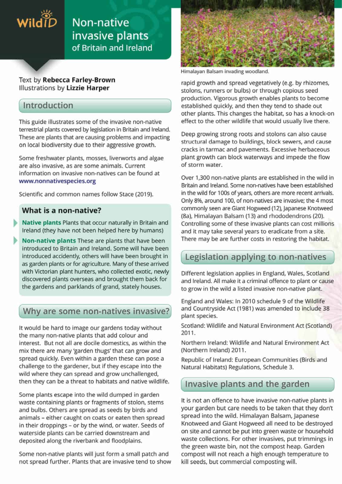 Non-native invasive plants guide