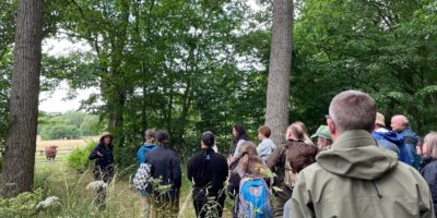 adults learning in woodland