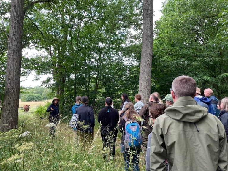 adults learning in woodland