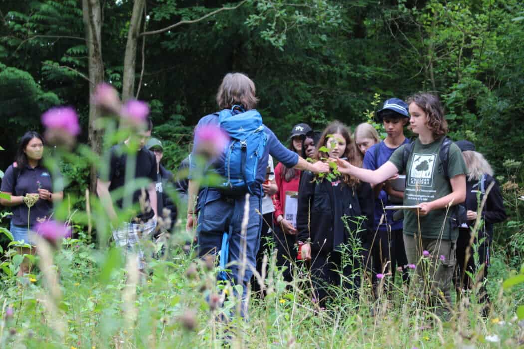 Field Studies Council Corporate Partnerships – Field Studies Council